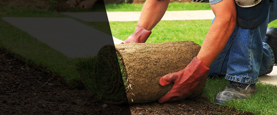 Evanston Landscapers